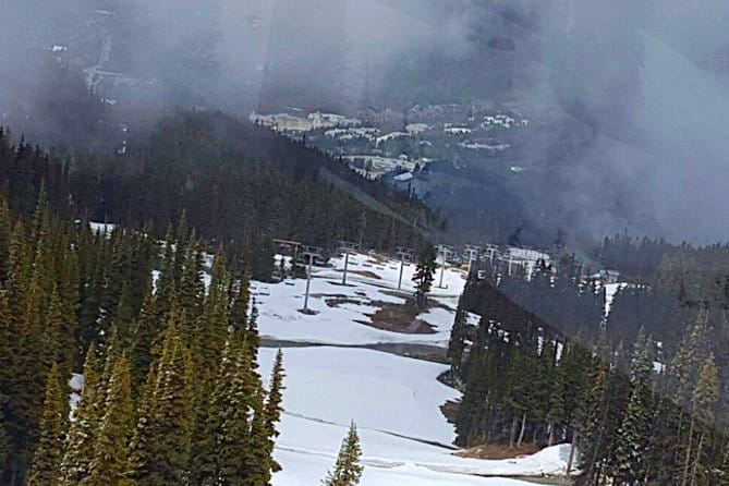 Vancouver Private Charter Tour With Experienced Local Guide - Experienced Local Guide