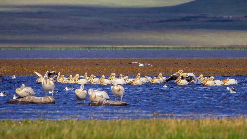 Vardzia. Lake Paravani, Khertvisi & Lomsia castle, Rabati - Journey to Vardzia: Georgias Cave City of Wonder