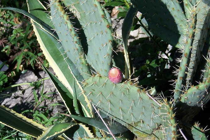 Varenna on the Como Lake, the Villa Monastero and the Patriarch's Greenway path - The Sum Up