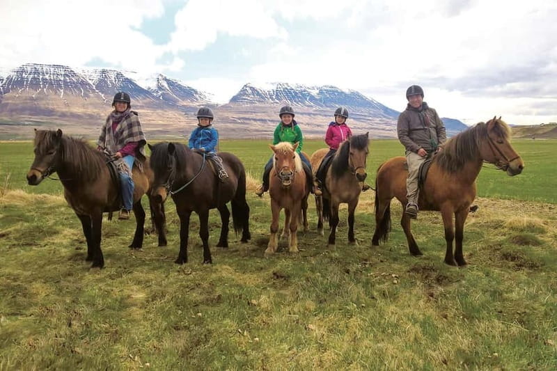 Varmahlid: 1-Hour Icelandic Horse Riding Tour - Why This Ride Is Especially Good for Travelers