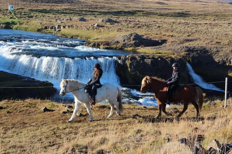 Varmahlid: Viking Horse Riding Tour - Key Points / Takeaways