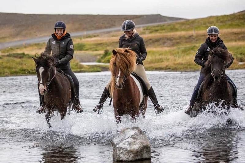 Varmahlid: Viking Horse Riding Tour - FAQ Section