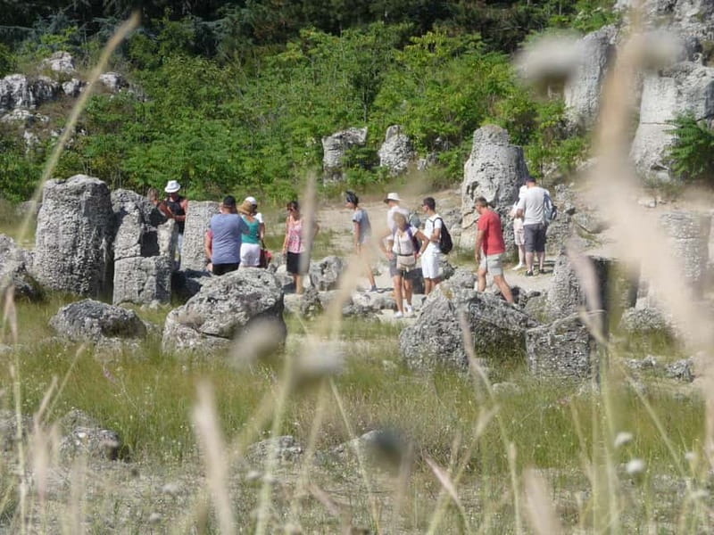 Varna: Guided VIP Tour - The Sum Up