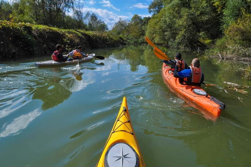 Varna: Kamchia River Kayaking Day Tour - Exploring Bulgaria’s Natural Beauty on the Kamchia River