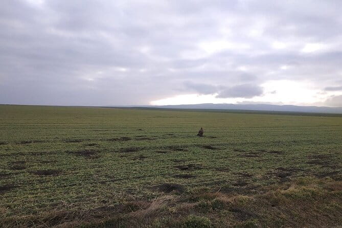 Vashlovani National Park Day Trip from Tbilisi - The Logistics: What to Expect