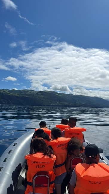 Velas: In the heart of Azores with whales and dolphins - Considering the Cost and Overall Value