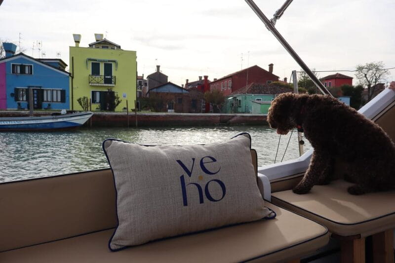 Venetian Boat Adventure: Private Tour of Murano and Burano - The Journey and Comfort on the Water