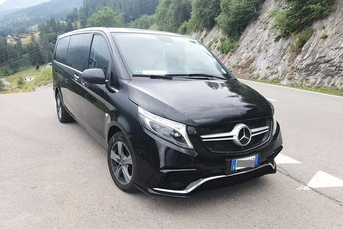 Venice Airport (VCE) to Venice (water boat included) - Arrival Private Transfer - Potential Drawbacks