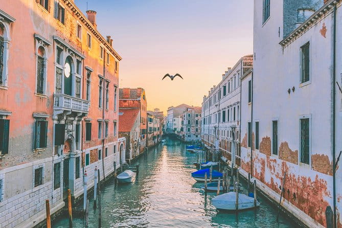 Venice Guided Walking tour - Who Would Enjoy This Tour?