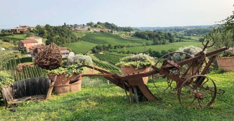 Venice: Prosecco Hills Wineries Tour with Tastings and Lunch - Visiting a Second Winery: A Different Perspective