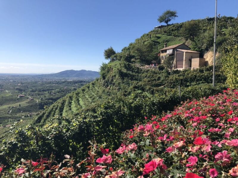 Venice: Prosecco Hills Wineries Tour with Tastings and Lunch - The Value of the Experience