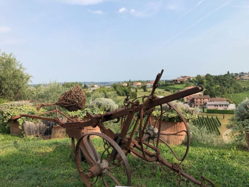 Venice: Prosecco Hills Wineries Tour with Tastings and Lunch - Starting Point and Logistics