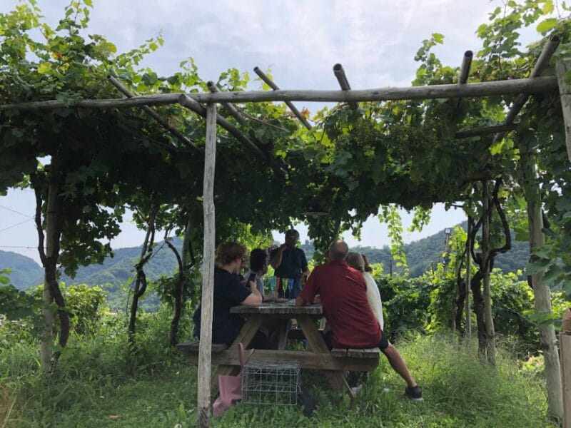 Venice: Prosecco Hills Wineries Tour with Tastings and Lunch - Second Winery and Final Tasting