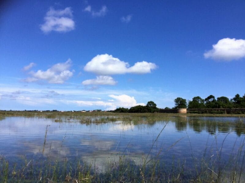 Venice: SantErasmo, Vignole, and Lagoon Kayaking Tour - Exploring Venice’s Lagoon by Kayak: An Authentic and Eco-Friendly Approach
