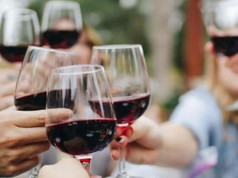 Venison & wine - Key points / Takeaways