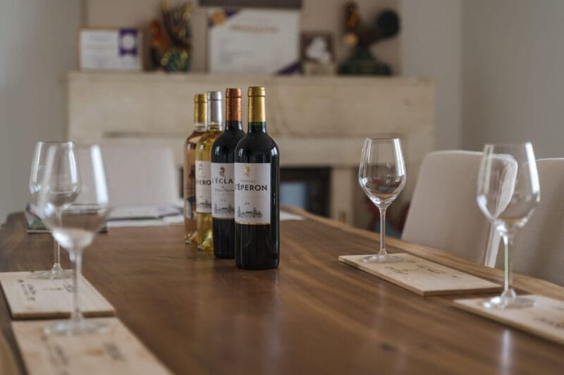 Vérac: Château L'Éperon Wine Tasting and Masterclass - Key Points / Takeaways