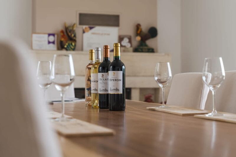 Vérac: Château L'Éperon Wine Tasting and Masterclass - A Close Look at the Experience: What You Can Expect