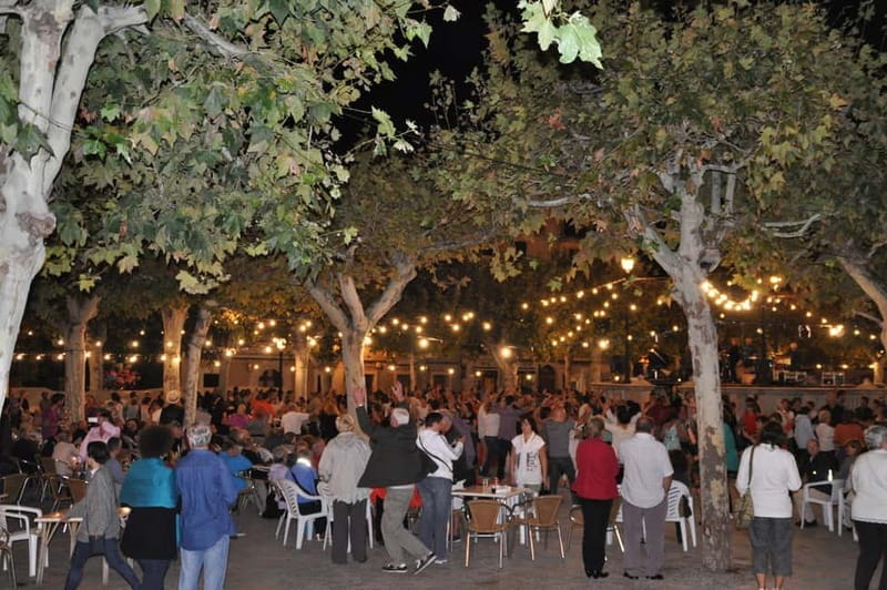 Vermar Wine Festival in Binissalem - Final Thoughts: Is the Vermar Wine Festival in Binissalem Worth It?