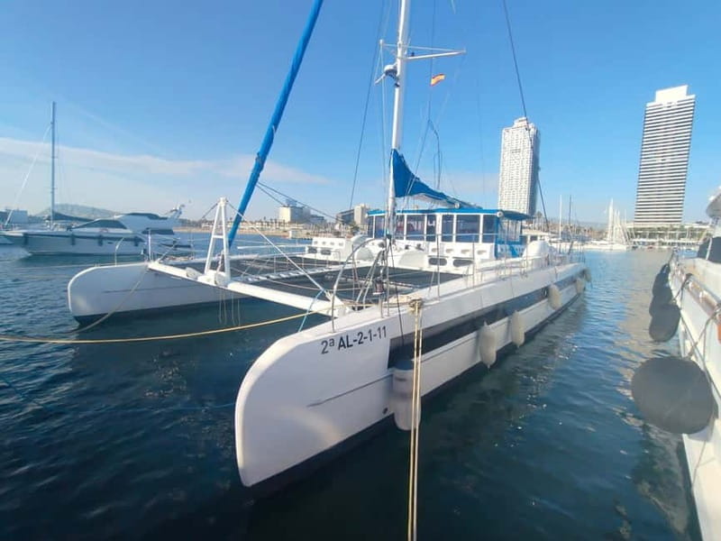 Vermouth on Catamaran: A Gastronomic Experience in Barcelona - Why This Cruise Is Worth Considering