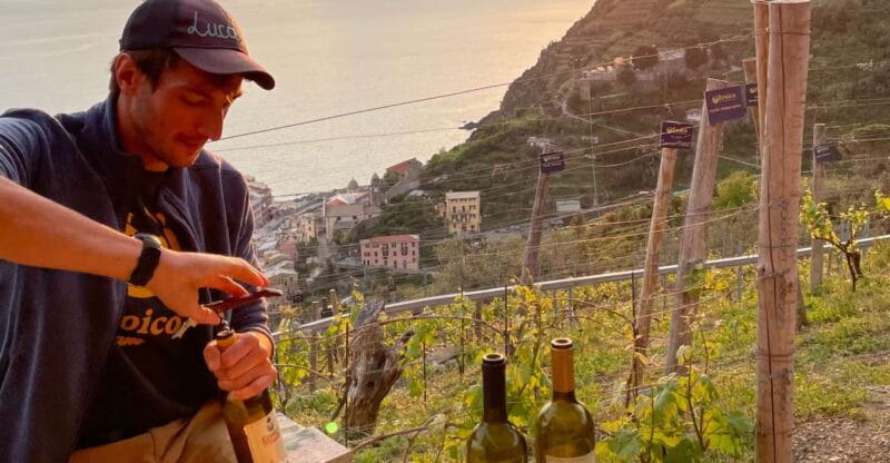 Vernazza: Panoramic Vineyard Trekking Tour w/ Wine Tasting - Key Points / Takeaways