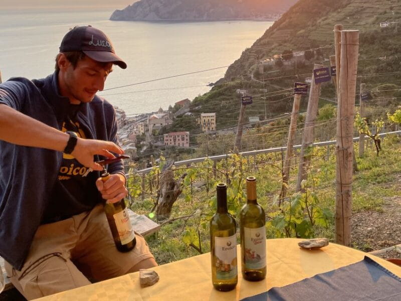 Vernazza: Panoramic Vineyard Trekking Tour w/ Wine Tasting - The Journey Begins: From Vernazza to the Vineyard