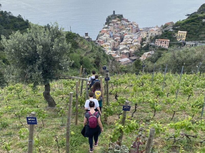 Vernazza: Panoramic Vineyard Trekking Tour w/ Wine Tasting - The Return Hike and Final Impressions
