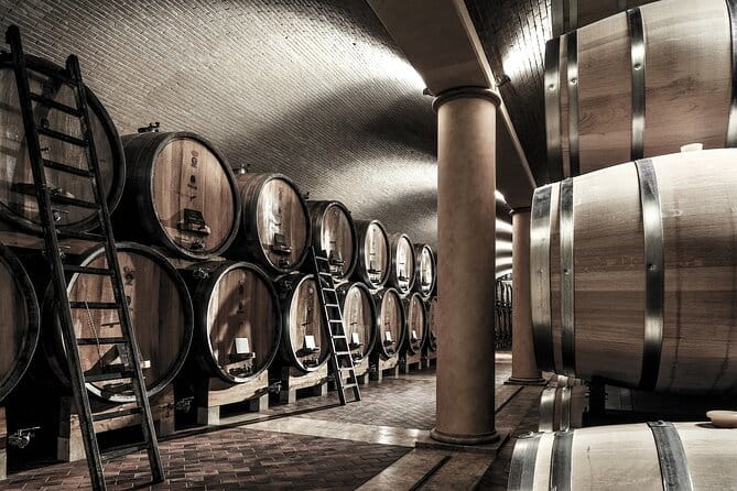 Verona area: Wine Tasting Experience in Valpolicella - A Detailed Look at the Experience