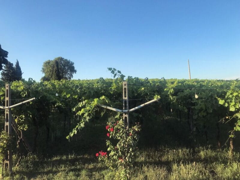 Verona: Custoza E-bike Tour - Final Thoughts