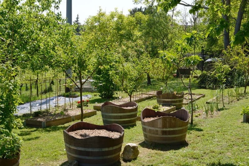 Verona: E-Bike Tour with Picnic at small winery - FAQ