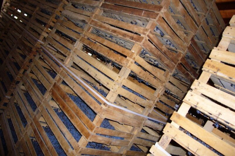 Verona: private tour of Soave and Amarone - The Red Wines of Valpolicella and Amarone