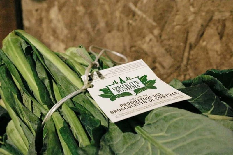 Verona: Slow Food Experience - Examining the Value and Logistics