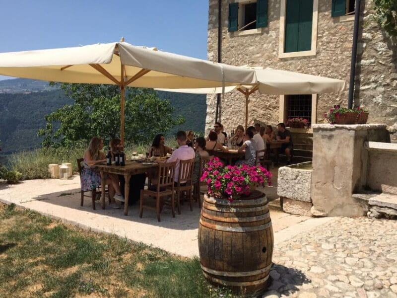 Verona: Vineyard and Winery Tour with Wine Tasting - Price, Duration, and Practical Tips