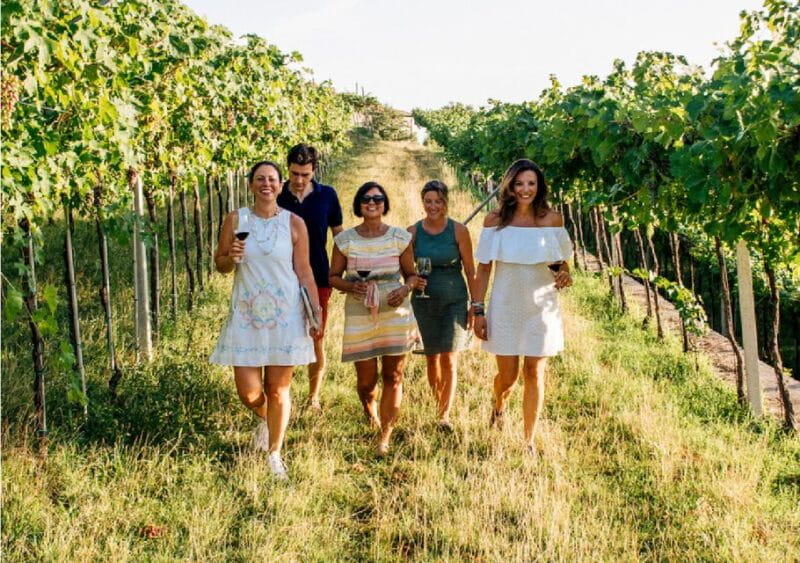 Verona: Vineyard and Winery Tour with Wine Tasting - Final Thoughts