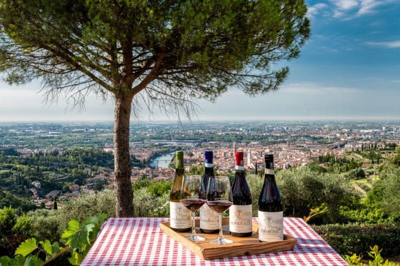 Verona: Wine Tasting with Snacks and Panoramic City Views - Logistics and Practicalities: What You Should Know