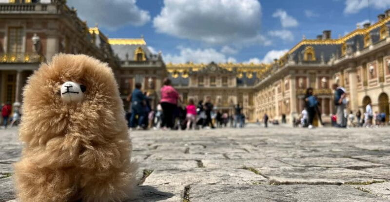 Versailles Half-day Private Tour by Luxury Car - Key points / Takeaways