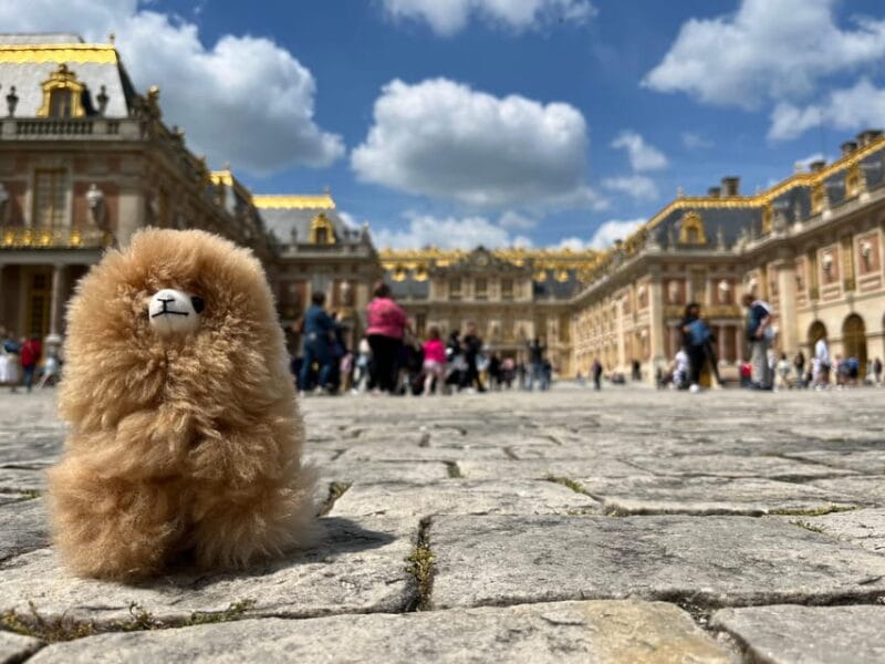 Versailles Half-day Private Tour by Luxury Car - Why This Tour Stands Out