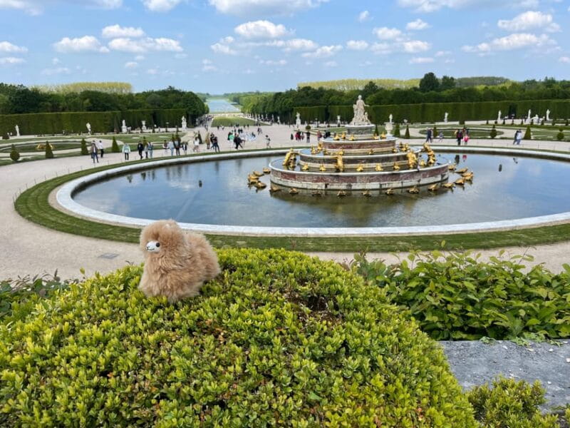 Versailles Half-day Private Tour by Luxury Car - Price and Value