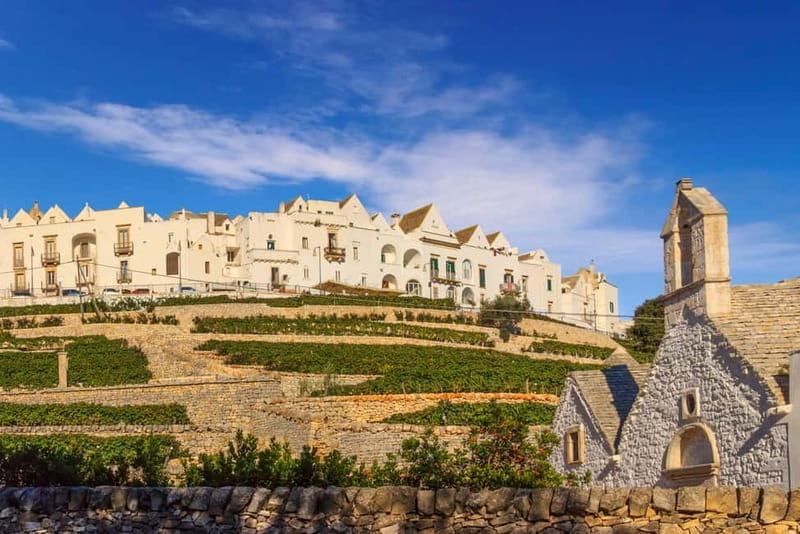 Vespa scenic tour: Trulli and Countryside with tastings in Itria Valley - Exploring Puglia on Two Wheels: A Detailed Review