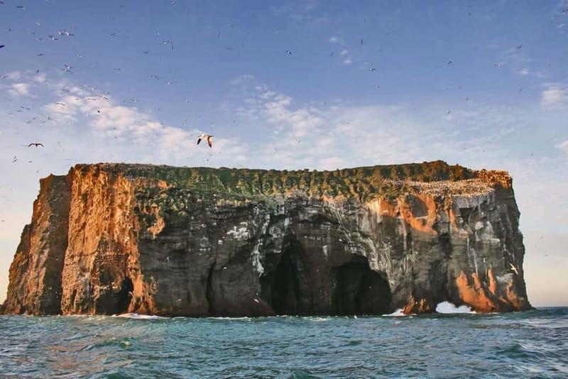 Vestmannaeyjar: 2 hour RIB boat Tour - Key points / Takeaways