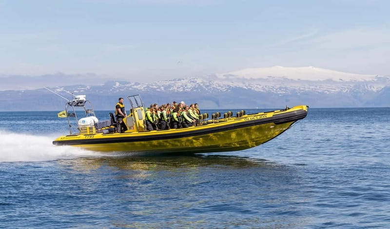 Vestmannaeyjar: 2 hour RIB boat Tour - Diving Into the Details of the Vestmannaeyjar RIB Tour