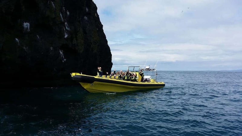 Vestmannaeyjar: One Hour Small Islands Trip - Starting Point and Logistics: Easy Access at the Harbour in Vestmannaeyjar