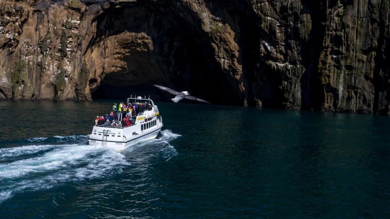 Vestmannaeyjar: Puffin, Island, and Volcano Boat Tour - Value and Who It’s Perfect For