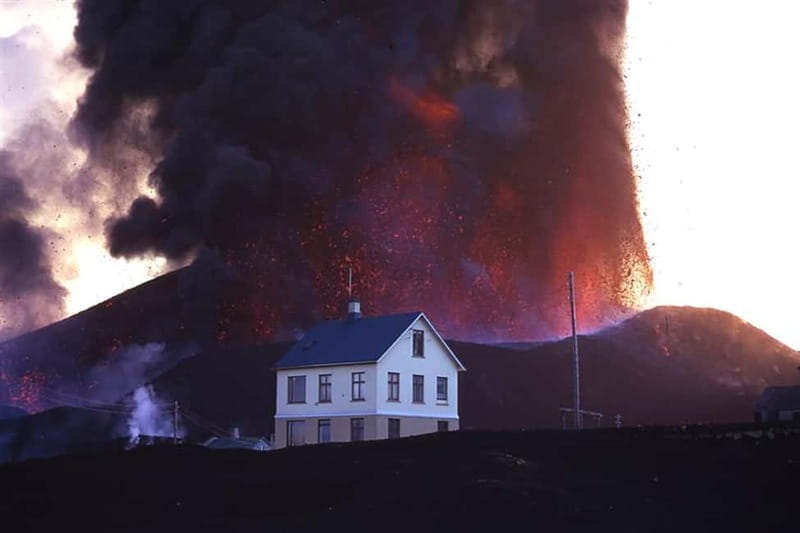 Vestmannaeyjar: Puffin, Island, and Volcano Boat Tour - FAQ