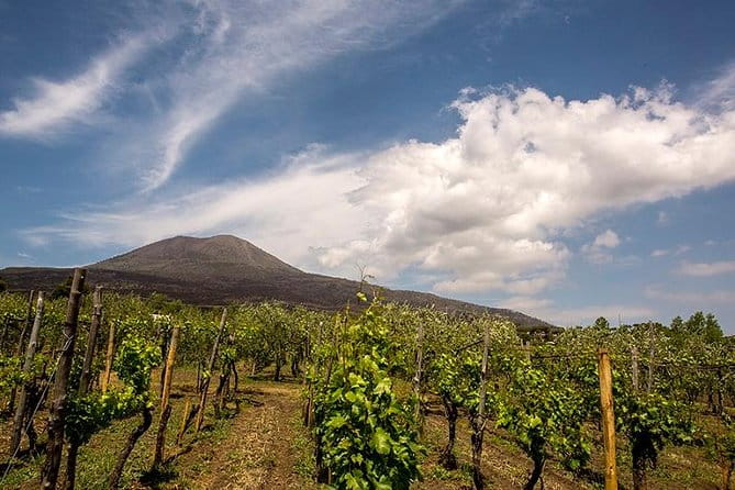 Vesuvio Gran cono + Wine Tasting & Lunch + Transfer from Naples - Key points / Takeaways