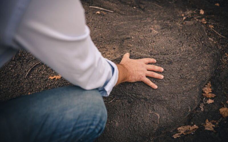 Vesuvio National Park: Wine Tasting & Tour with Light Lunch - Key Points / Takeaways