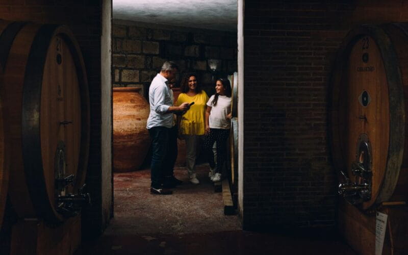 Vesuvio National Park: Wine Tasting & Tour with Light Lunch - The Tasting and Light Lunch