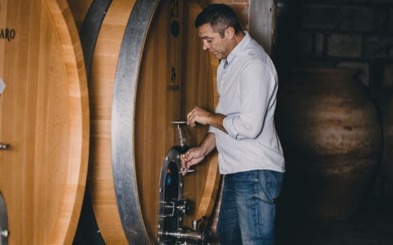 Vesuvio National Park: Wine Tasting & Tour with Light Lunch - Price and Value