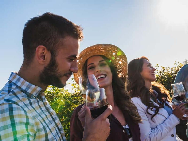 Vesuvius and Pompeii Day Trip with Lunch - Key Points / Takeaways