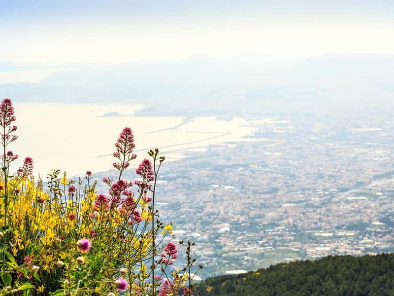 Vesuvius and Pompeii Day Trip with Lunch - Who Will Love This Tour?
