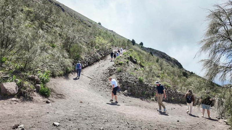 Vesuvius Volcano Experience: from Naples, Pompeii and Rome - Considerations: What Could Be Better?
